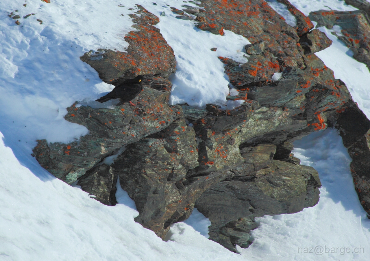 EOS 5D Mark II15_01_20120259.JPG